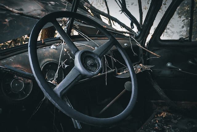 meri-vasilevski-cuZcKRPfocA-unsplash